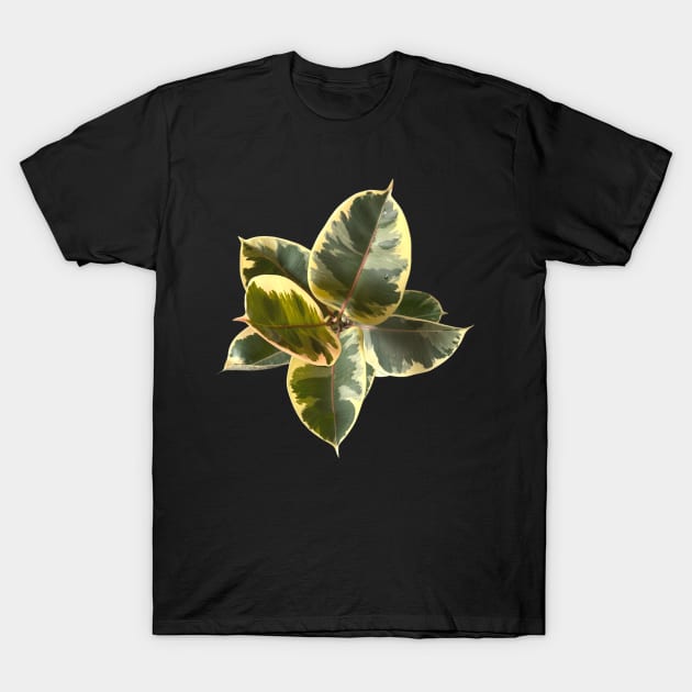 Ficus elástica tineke T-Shirt by Meo Design